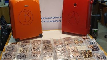 Allanamiento en Neuquén por secuestro de 240 kilos de cocaína en Ezeiza