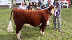 Un toro de más de medio millón de pesos acaparó las miradas en Conesa