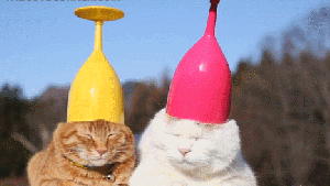 Pronóstico: el viernes promete buenas máximas en la región