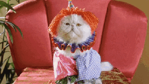 Pronóstico: bajan las máximas hoy y se mantiene el viento