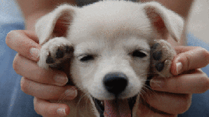 Pronóstico: ¿Te animás a mirar cómo arranca el jueves en la región?