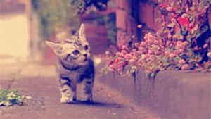 Pronóstico: octubre empieza nuboso y fresco