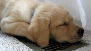 Pronóstico: llega el primer día de calor primaveral a la región