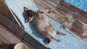 Pronóstico: el sol ilumina el primer lunes primaveral