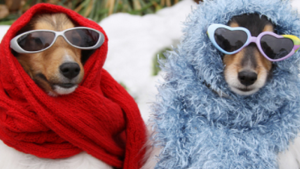 Pronóstico: la primera semana de septiembre llega con más frío a la región