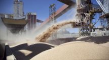 Imagen de Las retenciones para la soja saltan otro 10% para los grandes productores