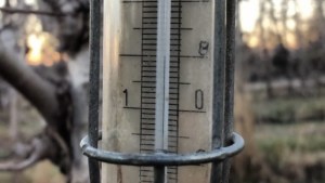 «Llevamos más de 12 horas de lucha» contra la helada, aseguró un productor