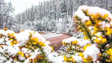 Los copos de nieve se encuentran con las flores, en San Martín.
