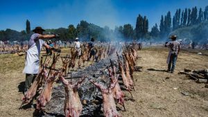 Se canceló, de forma definitiva, la Fiesta del Chivito 2020 en Chos Malal