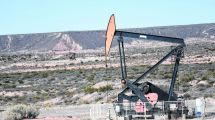 Imagen de Río Negro: la distribución de las regalías cayó un 15%