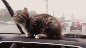 Pronóstico: lunes lluvioso y fresco en la región