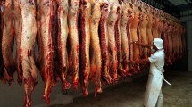 Imagen de Reducen 50% las exportaciones de carne y siete cortes se venderán solo en el país