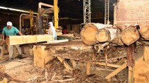 Imagen de Roca: «No es fábrica recuperada», dijo el dueño del predio del aserradero