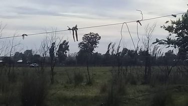 Nuevo intento de toma en Cipolletti