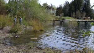 Tras la demolición del muro en la costa del Nahuel Huapi detectan otras irregularidades