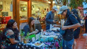 Activistas por el derecho animal realizarán una gran feria vegana