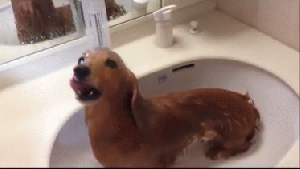 Pronóstico: el martes asoma a pleno sol en la región