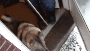 Pronóstico: sigue la inestabilidad y el viento en la región