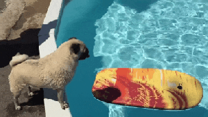 Pronóstico: ¿Llega para quedarse? Se viene un jueves primaveral en la región