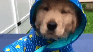 Pronóstico: enterate cómo arranca noviembre en la región