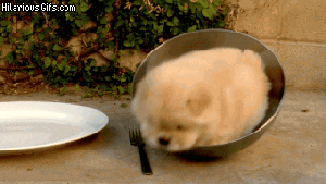 Pronóstico: mirá cómo cierra la primera semana de octubre