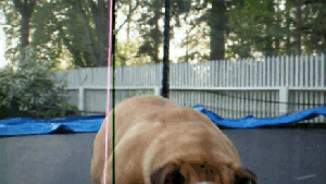 Pronóstico: llega un martes cálido, con algo de nubosidad