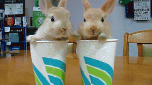 Pronóstico: miércoles nublado en la región, pero con buenas máximas