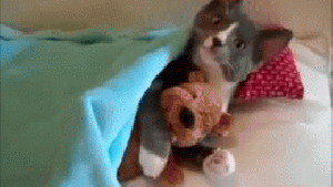 Pronóstico: enterate si hoy se mantiene el frío en la región