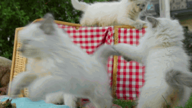 ¡Aprovechemos al aire libre!