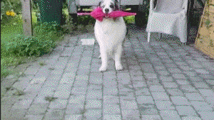 Pronóstico: ¿Llega la lluvia a la región?