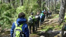 Imagen de La Mirada del Doctor: un trekking inolvidable en Bariloche para hacer en Semana Santa