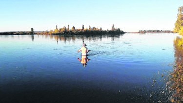 Arroyito es una gran opción para disfrutar del Limay cerca de la capital provincial.  
