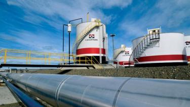 Para el 2020 la compañía proyectó un plan de inversión de hasta 5 millones de dólares para Argentina.
