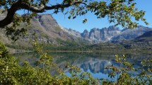 Imagen de La comunidad universitaria  rechazó cambios en la ley de bosques
