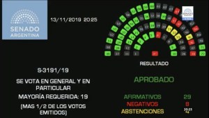 El Congreso calificó como «golpe de Estado» lo ocurrido en Bolivia