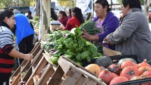 Convocan a un nuevo encuentro de organizaciones de la Economía Social en Viedma