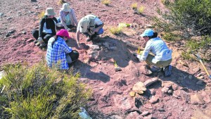 Hallaron un nuevo dinosaurio carnívoro en Neuquén