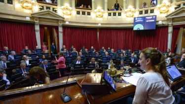 Cámara de senadores.- 