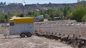 Buscan regular la actividad hípica y prevenir el maltrato animal