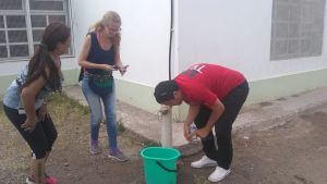 Acusaciones cruzadas por agua de red con larvas en un jardín de Cipolletti