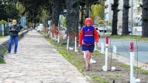 Imagen de Un plan de arbolado para cambiar la cara a la Costanera