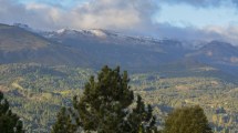 Imagen de Comunidades mapuches rechazaron cambios en la ley de Bosques