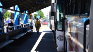 Paro de colectivos en Roca: si no hay solución, choferes endurecerán la protesta