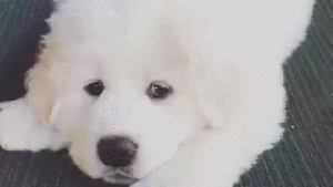 Pronóstico: mejora el tiempo este miércoles, pero las nubes se quedan en la región