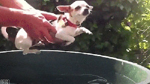 Pronóstico: preparate para un martes caluroso en la región