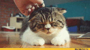 Pronóstico: así estará este jueves en la región