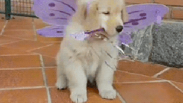 Pronóstico: el viento y las nubes insisten en quedarse en la región