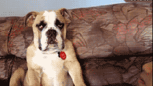 Pronóstico: ¿Se vienen las tormentas este viernes a la región?