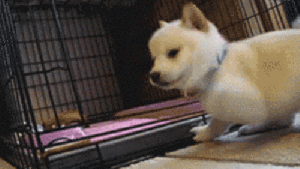 Pronóstico: Te contamos cómo arranca la semana en la región