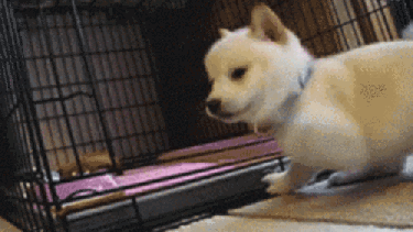 ¡Buen inicio de semana!